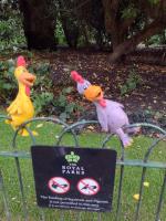 /home//u458753944/public_html/sourcegallery//other/uk 2023/london/IMG_20230918_174849407.jpg